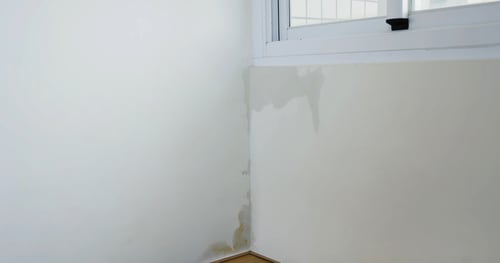 water damage behind a white wall