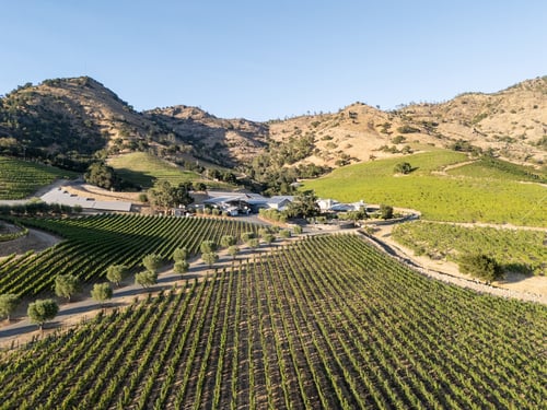 ShaferVineyards, NapaValley, WineCountry, LuxuryTravel, FineWine, VineyardViews, NapaLuxury, CaliforniaWine, WineEstate, AerialPhotography, VineyardLife, LuxuryLifestyle, WineLovers, ScenicViews, EstateWinery, NapaVineyards, TravelInStyle, LuxuryEscape, WineCountryLiving,