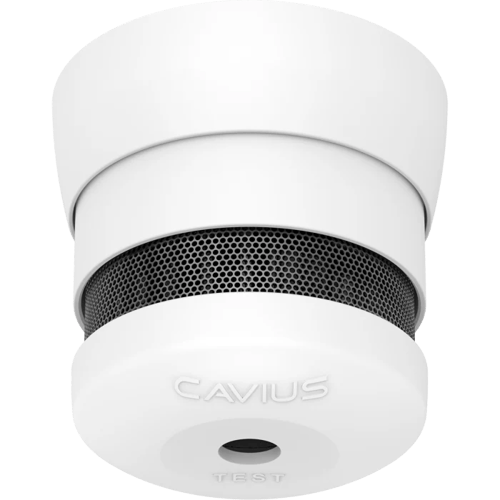 Cavius-2007-1250x1250