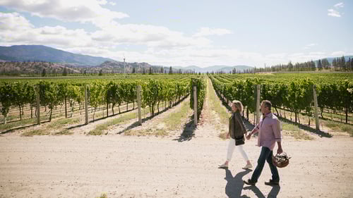 A couple walks hand in hand along a path beside a vineyard under a bright blue sky with scattered clouds. They are carrying a wicker basket, surrounded by lush green rows of grapevines and distant mountains.