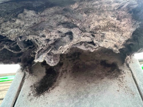 Getting piles of lint out on this hot day and pulling screen clogs!