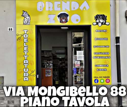 Negozio Brenda Zoo