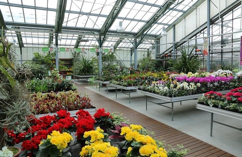 Gärtnerei Zmugg KG - Blumen & Pflanzen aus Salzburg