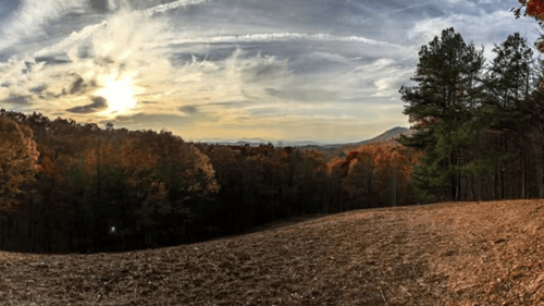 Land Overlooking the Woods