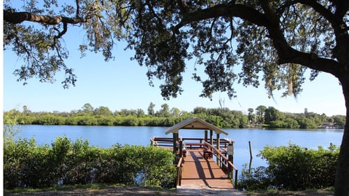View of Little Manatee River right off River Vista RV Village.