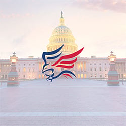 FedBiz Access - your Government Contracting Specialists