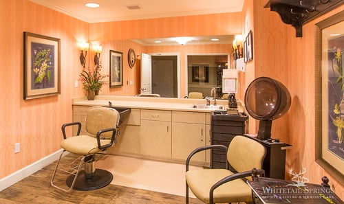 Whitetail Springs Memory Care Community and Personal Care in Pittsburgh, PA