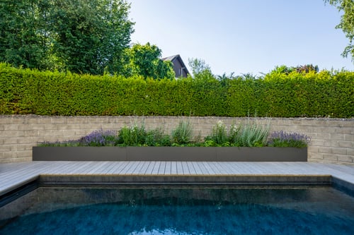 Gartenumänderung Privatgarten mit Pool