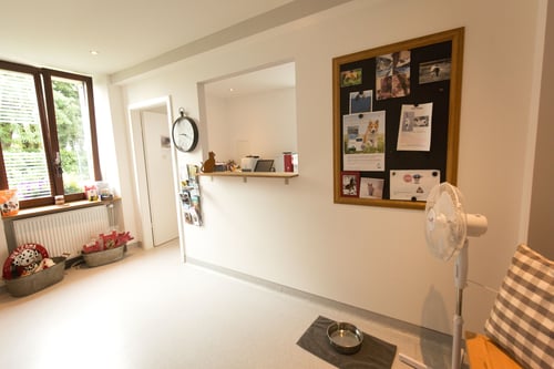 ZeVet, Cabinet Vétérinaire de Commugny