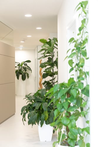 Gesundheitszentrum Arbor Vitae in 8063 Eggersdorf bei Graz  - Innenansicht