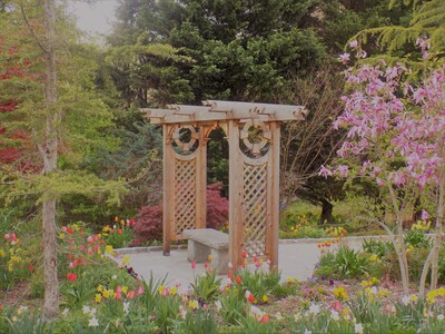 Source: https://churchofjesuschristtemples.org/washington-d.c.-temple/photographs/
Credit: Henok Montoya, 2015