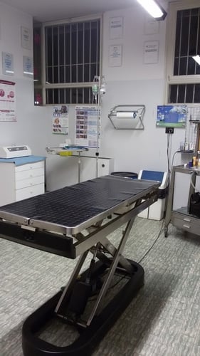 Ambulatorio per Animali Buono e Giannasi