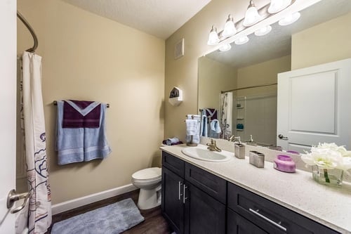 Bathroom at The Oasis at 301 in Riverview, FL