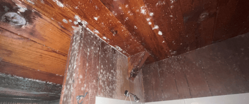Water Damage Restoration 1 Reno-Tahoe