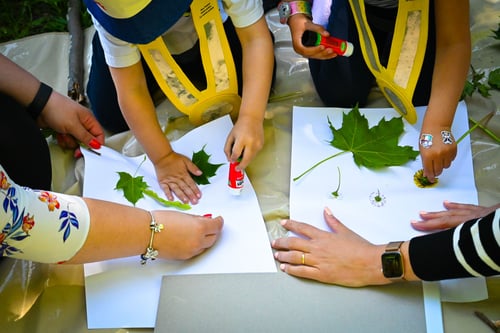 Atelier en forêt du mercredi dans la forêt de Lonay