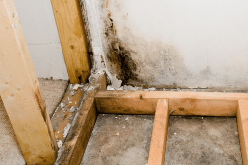 Mold Remediation Restoration 1 Reno-Tahoe
