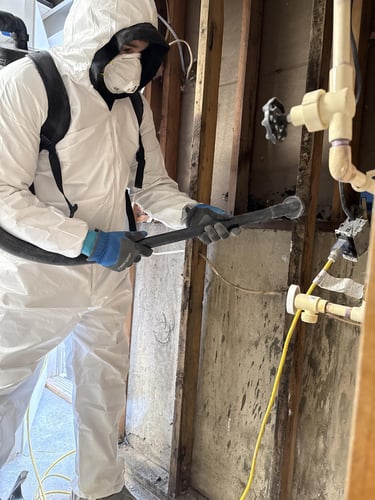a Restoration 1 of Mt. Pocono technician in protective equipment remediates mold from a property