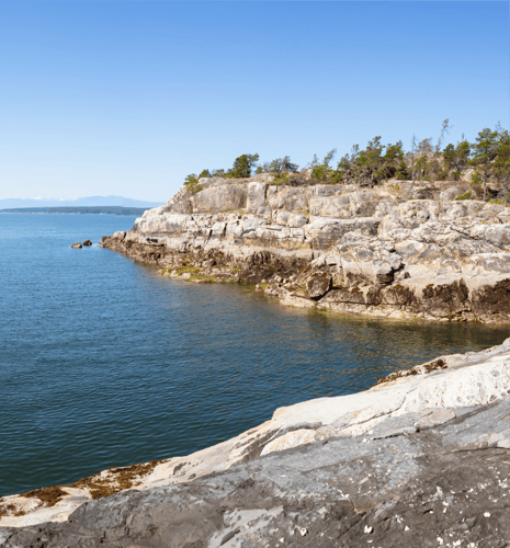 Rocky coastline with sparse trees under a clear blue sky, meeting a calm blue sea. The scene conveys tranquility, with distant land visible.