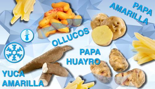 productos frescos peruanos