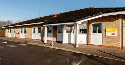 Busy Bees at Northampton, Spinney Hill - Gallery Photo
