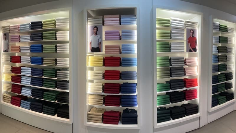 Polo Area