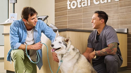 Husky with his pet parent and veterinarian at the check in desk at a Vetco Total Care.