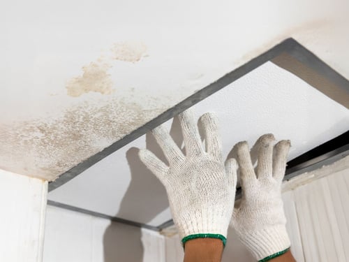 Homeowner inspecting ceiling mold during spring deep cleaning in NW Cobb home