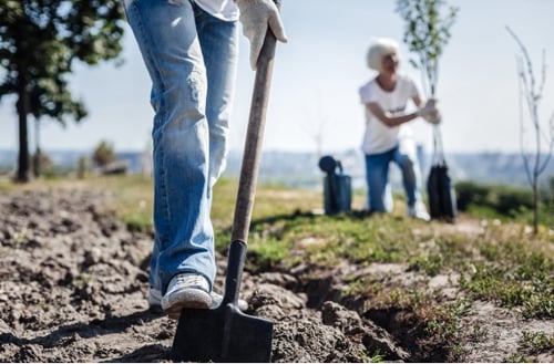 Two people planting trees in a field. The foreground shows a person digging with a shovel, while the background features another person placing a sapling.