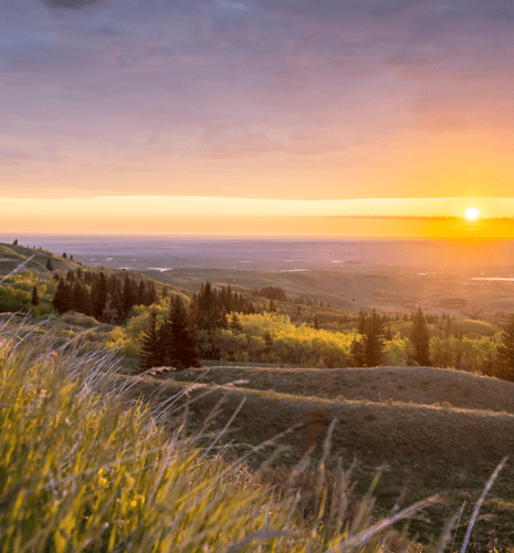 Peaceful landscape at sunset with a golden sun setting over rolling hills and a forest of lush green trees. The sky is painted with soft purples and oranges.