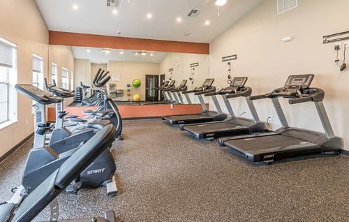 Fitness center at Pinewood Apartments, Houston, TX, 77396