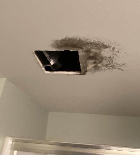 Our Ceiling and Wall Water Cleanup Process