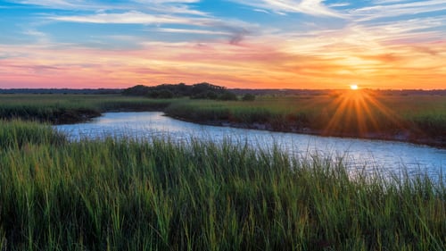 Incredible Marsh Views