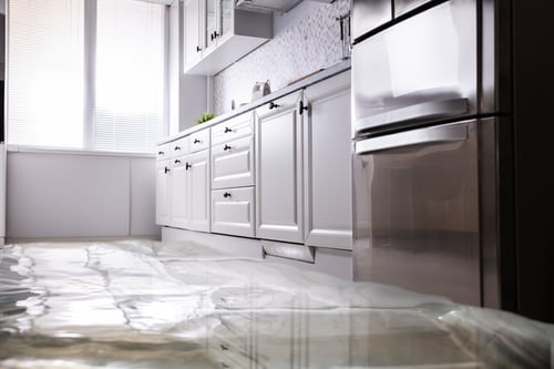 water damage conway