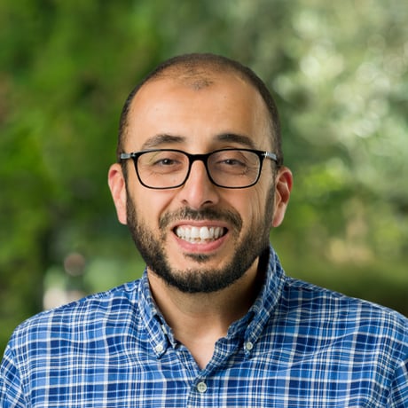 Mostafa N. Shalaby