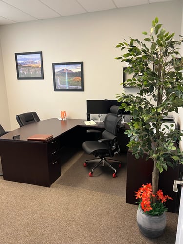 A desk inside of an office with a tree and photos of a town