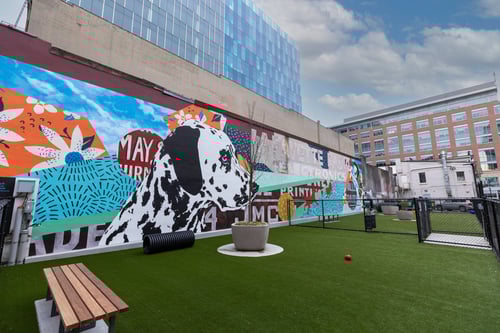 Dog Park at Center Square Lofts West, Allentown, 18101