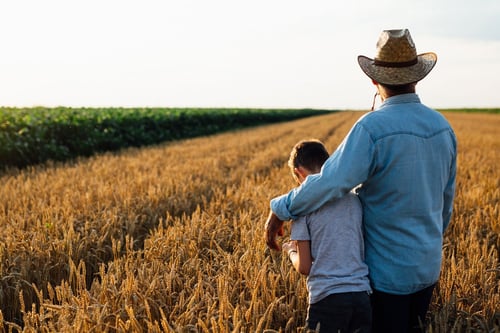 Father and son standing looking out at a field