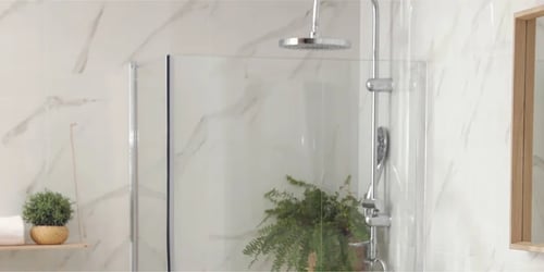 Elegant glass shower with a fern plant