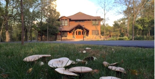 building at the retreat