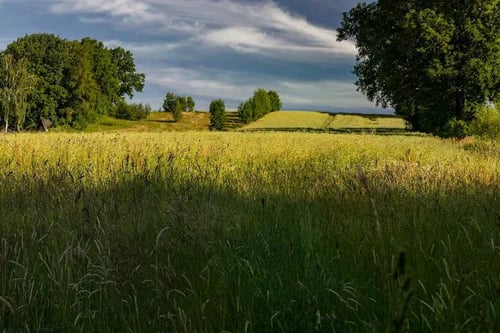 Erwin Martin, Erwin Martin Fotograf, Fotograf Chemnitz, Naturfotografie, Landschaftsfotografie, Reisefotografie, Tierfotografie, Haustier fotografieren lassen, Fotokalender kaufen, Naturkalender, Landschaftskalender, Fotokunst kaufen, Fine Art Fotografie, Videoproduktion, Landschaftsvideo, Naturfotografie Chemnitz, Landschaftsfotografie Chemnitz, Kalenderfotografie, Kalenderproduktion, Kalender erstellen Chemnitz, Fotokalender Chemnitz kaufen, Fine Art Fotografie Chemnitz, künstlerische Fotografie, Panorama Fotografie, Städtefotografie, Architektur Fotografie, hochwertige Fotokunst, exklusive Naturfotografie