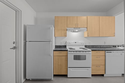 A kitchen with a refrigerator, oven, and dishwasher.