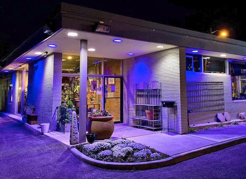 George's Flowers storefront