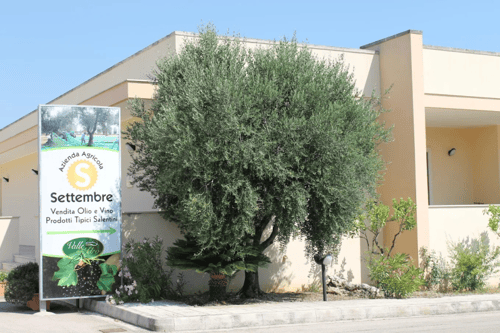 Azienda Agricola Settembre