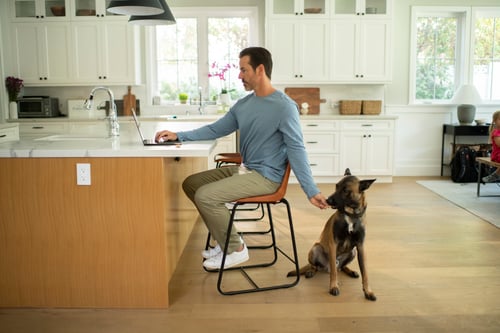 Man using laptop in the kitchen