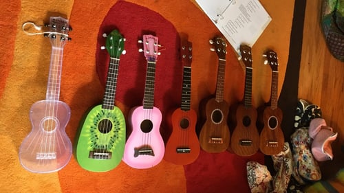 various colored ukulele placed on floor