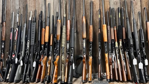 Large variety of rifles on display next to each other