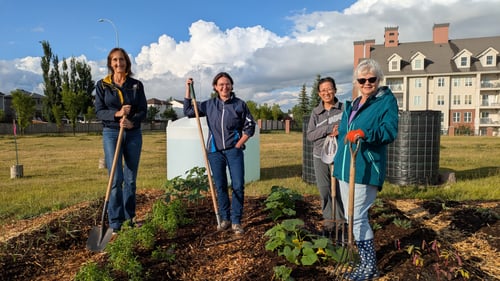 RBC Employees and Calgary community members proudly display the fruits of their labour in a community urban garden plot
