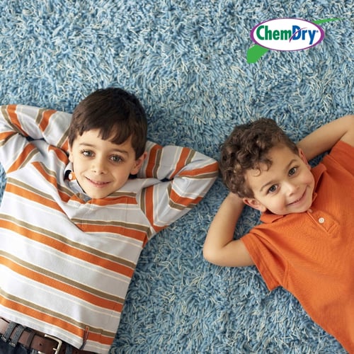 Two Boys on Clean Carpet in Montgomery County, VA | Steven's Chem-Dry
