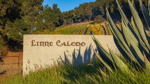 winery near me, paso robles winery, wine tastings near me