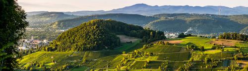 Weinbaugebiet Muttenz